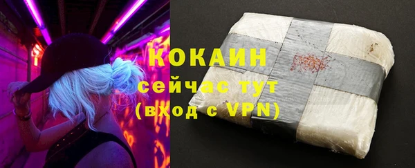 молекула духа Алексин